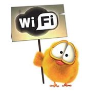 НАСТРОЙКА ИНТЕРНЕТ, WI-FI И ЛОКАЛЬНЫХ СЕТЕЙ В ГОМЕЛЕ фотография