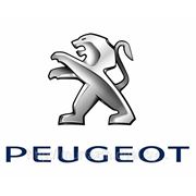 Компьютерная диагностика ПЕЖО Peugeot в Гомеле выезд к клиенту фото