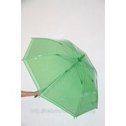 Полупрозрачный зеленый свадебный зонтик. Зонтик для необычной свадебной фотосессии фото