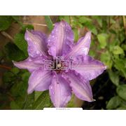 Экзотический туризм фото