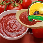 Пюре помидорное Bukhara Agro Export фото