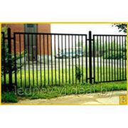 Заборы простые фото
