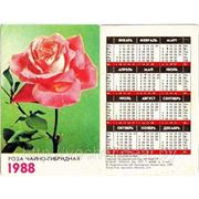 Карманные календари в минске фотография