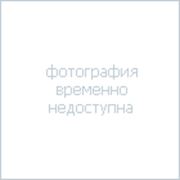 Тележка грузовая двухколесная ТР-4 2.312 фото
