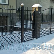 Ворота распашные в Калининграде фото