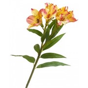 Искусственный цветок Альстромерия желто-красная 65 см (отгружается по 12 шт) фотография