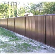 Забор из профнастила (металлопрофиля) фотография