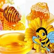 Мед оптом от производителя по Низким ценам, Гаоантия, Качество фото