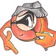 MG-SOFT Network Management ToolBox for Windows (MIB Browser SNMPv3 + Trap Ringer TR0064) (MG-SOFT Corporation) фото