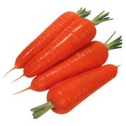 морковь красная фотография
