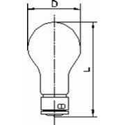 Лампа накаливания железнодорожная ЖС12-15 фото