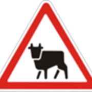 Дорожный знак Перегон скота 1.35 ДСТУ 4100-2002 фото