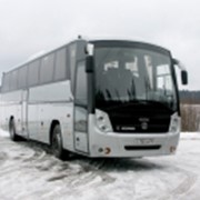 Автобус ГолАЗ-529114 "Круиз"