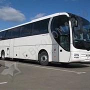 Туристический автобус MAN Lion's Coach LR08 фото