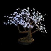 Светодиодное дерево Bansai от Eco Light Group