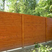Забор деревянный Украина фото