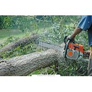 Бензопила STIHL фото