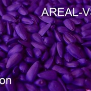 Фиолетовый краситель для семян AREAL–VS 03 фото