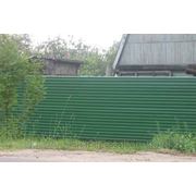 Зеленый забор RAL6005 фото