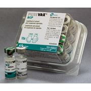 Вакцина Пуревакс (пюревакс) Purevax RCP против ринотрахеита кальцивироза панлейкопении фото