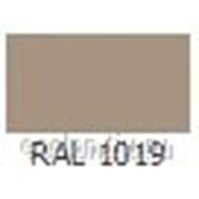 Краска порошковая Полиэфирная шагрень ППК-151 RAL 1019 фотография