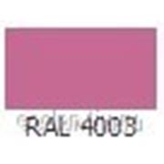 Краска порошковая Эпокси-полиэфирная Глянцевая ЭПК-202 RAL 4003 фотография