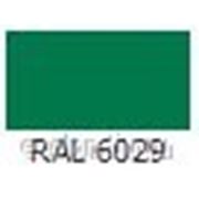 Краска порошковая Полиэфирная шагрень ППК-151 RAL 6029 фотография