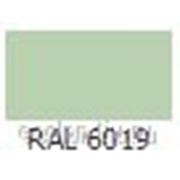 Краска порошковая Эпокси-полиэфирная Глянцевая ЭПК-202 RAL 6019 фото