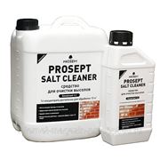 PROSEPT SALT CLEANER - удалитель высолов с минеральных поверхностей фото