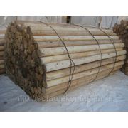 Березовые дрова (березовые карандаши) фотография