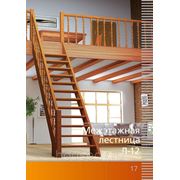 Лестница Л-12 прямозаходная фото