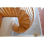 Винтовые деревянные лестницы фото