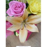 Букеты цветов фото