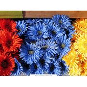 Цветы искусственные пластмассовые фото