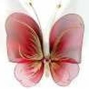 Декоративная Бабочка большая для штор и тюлей красная полосатая 20*18 см фото