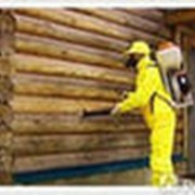 Огнезащитная обработка деревянных конструкций ТОО Стимул фото