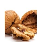 Орехи грецкие сушеные фотография