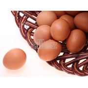 Яйцо куриное столовое фото
