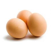 Яйцо молодой курицы фото