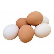 Яйца цесарки фото