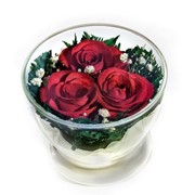 Натуральная роза в малом стеклянном кубке