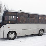 Автобус междугородний туристический МАЗ-241 фото