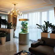 Цилиндрический аквариумный комплекс 502л. фото