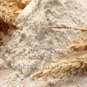 Мука пшеничная Экспорт от 1000тн. Документы. Качество фото