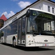 Автобус МАЗ 203085 фотография