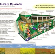 Зерносушилки Alvan Blanch (Великобритания) фото