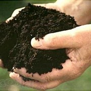 "Реленд" - мелиорант для восстановления почв