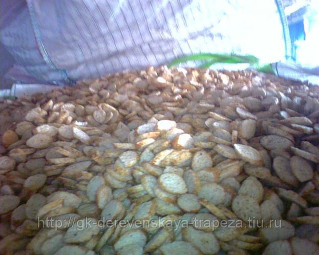 Воронеж Ольховка Купить Вику На Корм Животным