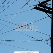 Обеспечение работоспособности электрических сетей фото
