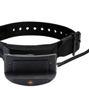 Обучающий ошейник E-Collar SportDOG TEK 1.0 фото